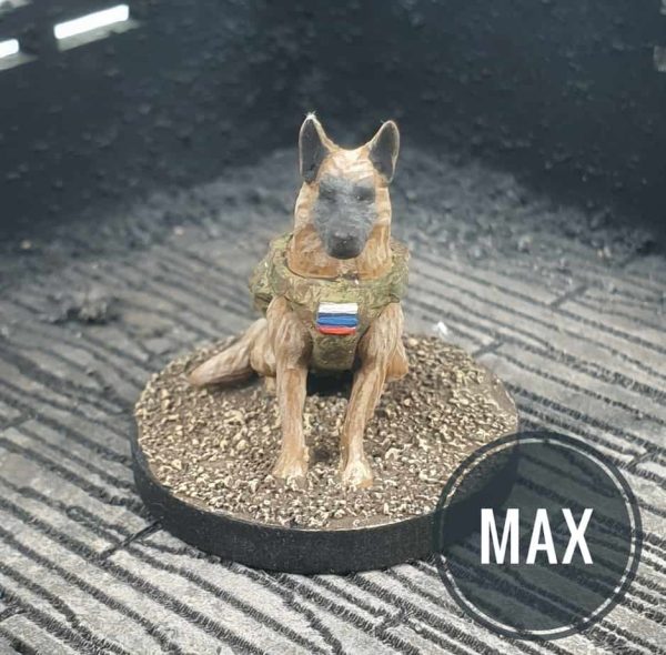 STALKER - Max Military Working Dog