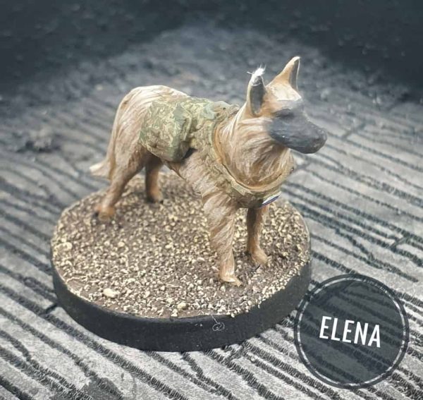 STALKER - ELENA Military Working Dog